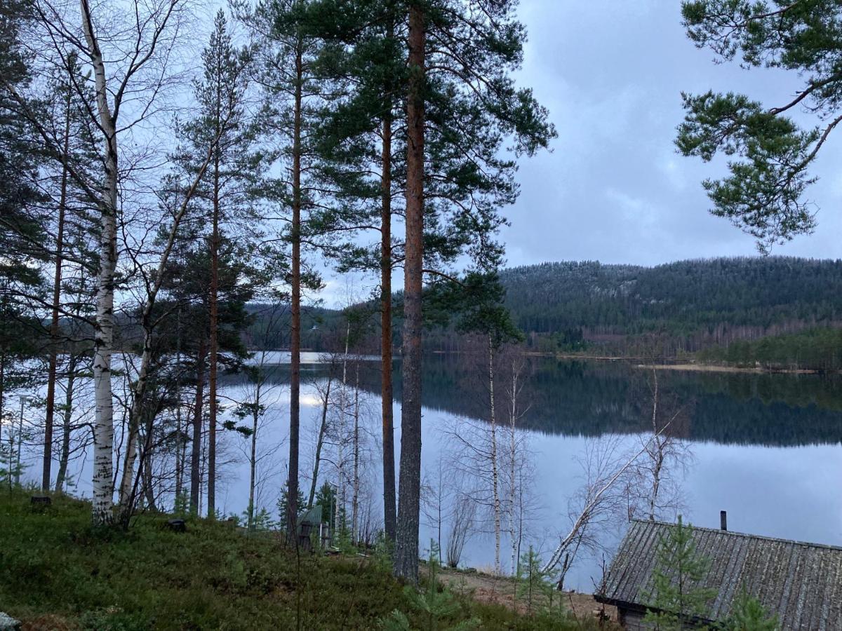 Koli Caravan Cottages Luaran gambar