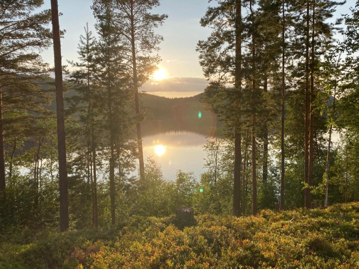 Koli Caravan Cottages Luaran gambar